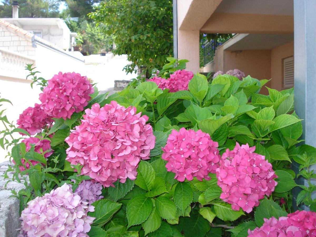 Apartments Ivanka Okrug Gornji Room photo